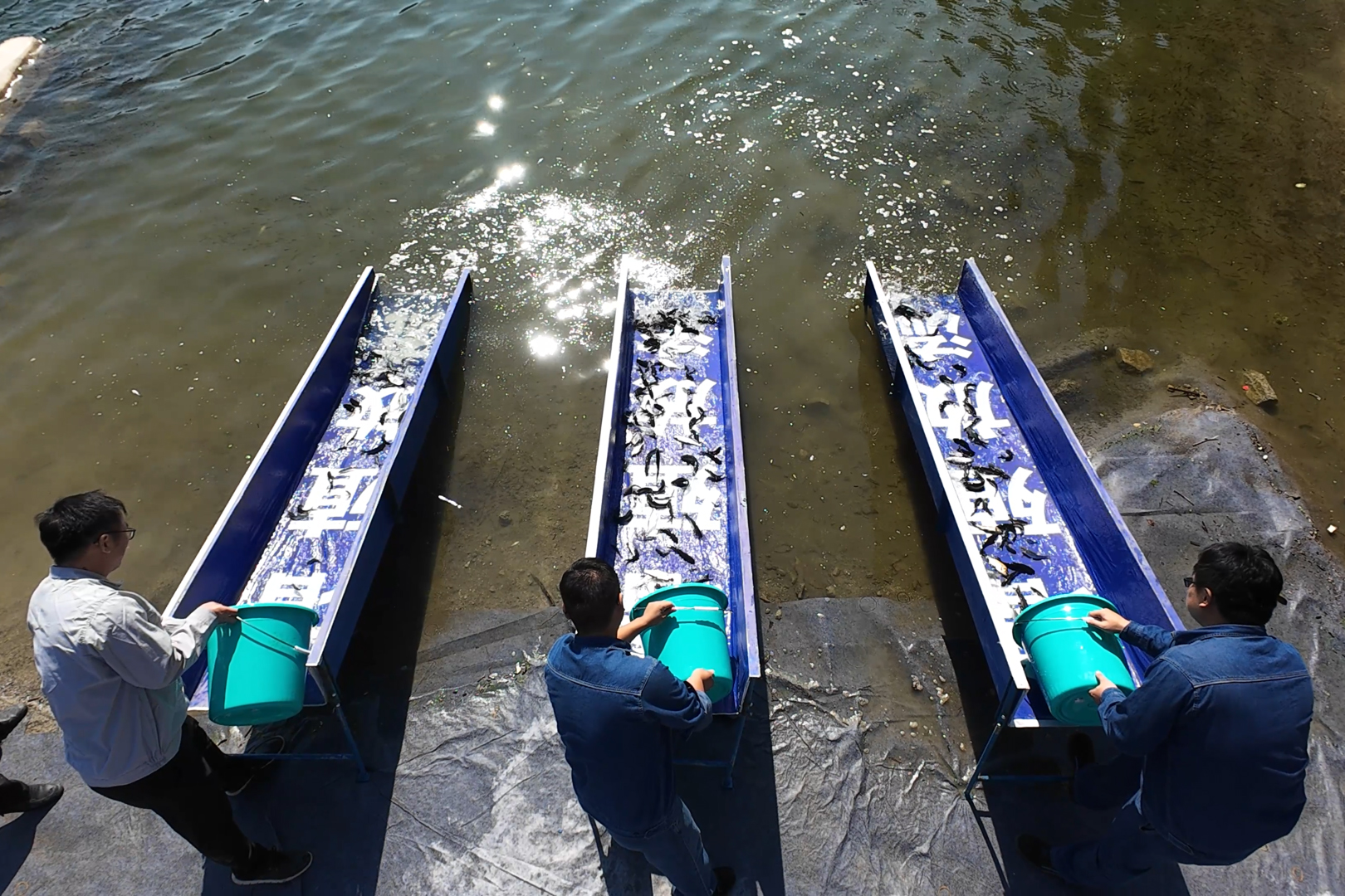 /ueditor/image/20240926/1727311579086514/08b0bbd283b2404888becfccfff2a504.jpg 微信图片_20240926084434.jpg